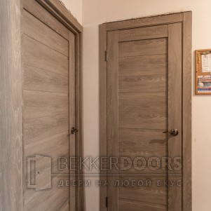 Дверь DUPLEX  глухая в цвете Дуб Шале седой